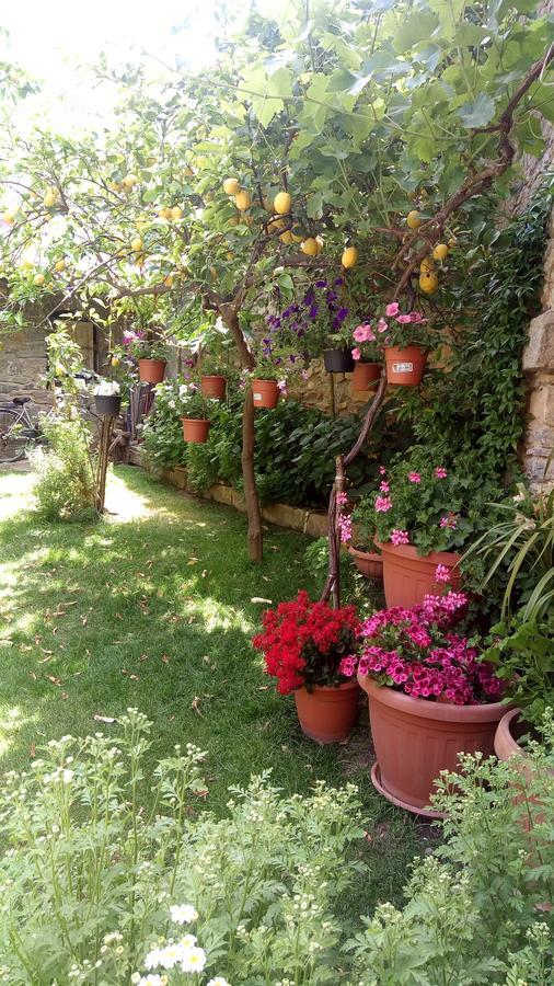 B&B Teresina Villasalto Eksteriør bilde